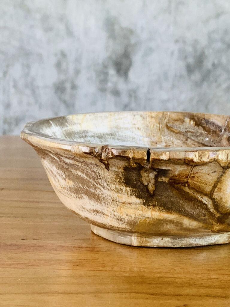 Petrified wood bowl