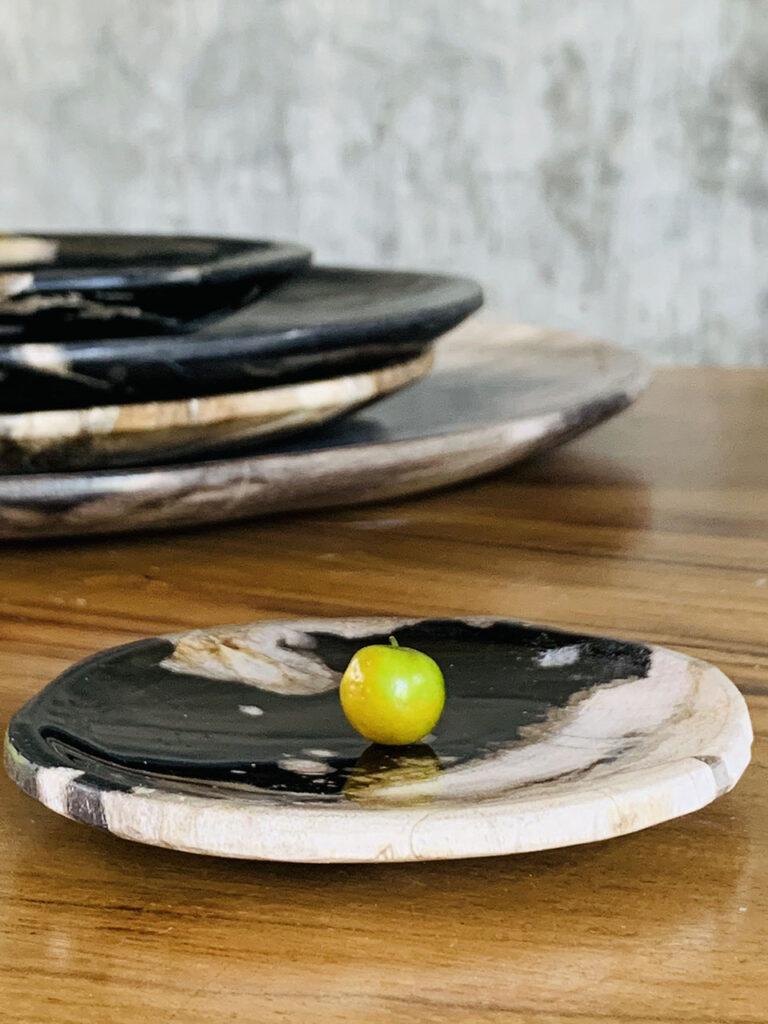 Petrified wood light and dark plate