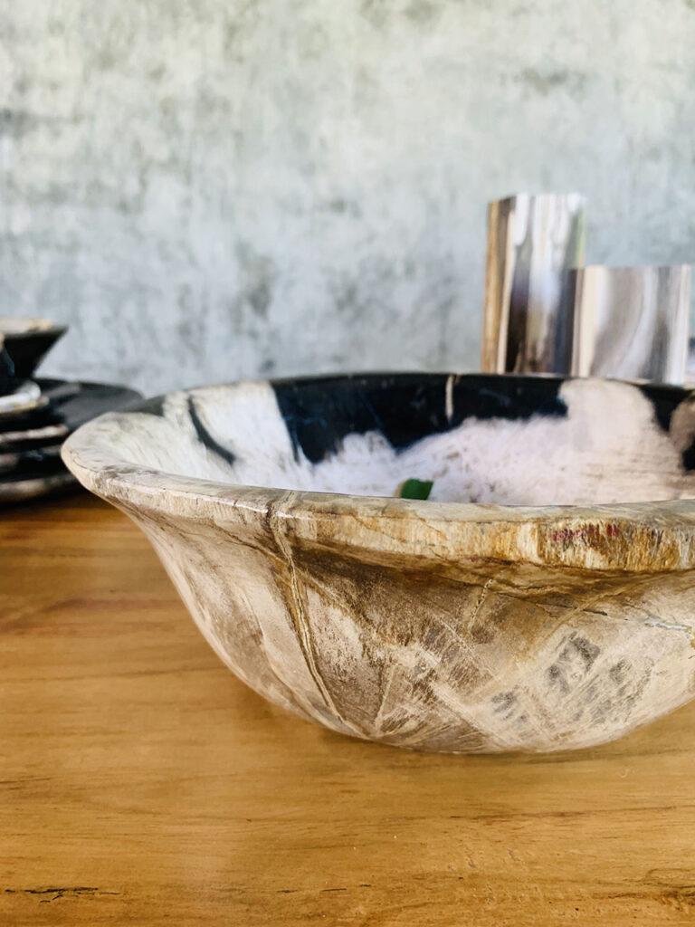 Petrified wood bowl