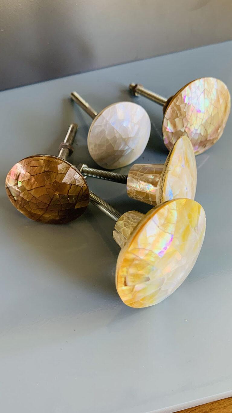 Shell Faceted Knob